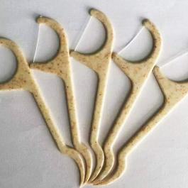 Dental Floss Picks - 副本